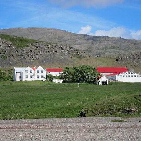 Brekka I Loni Farm Stay Stafafell Exterior foto